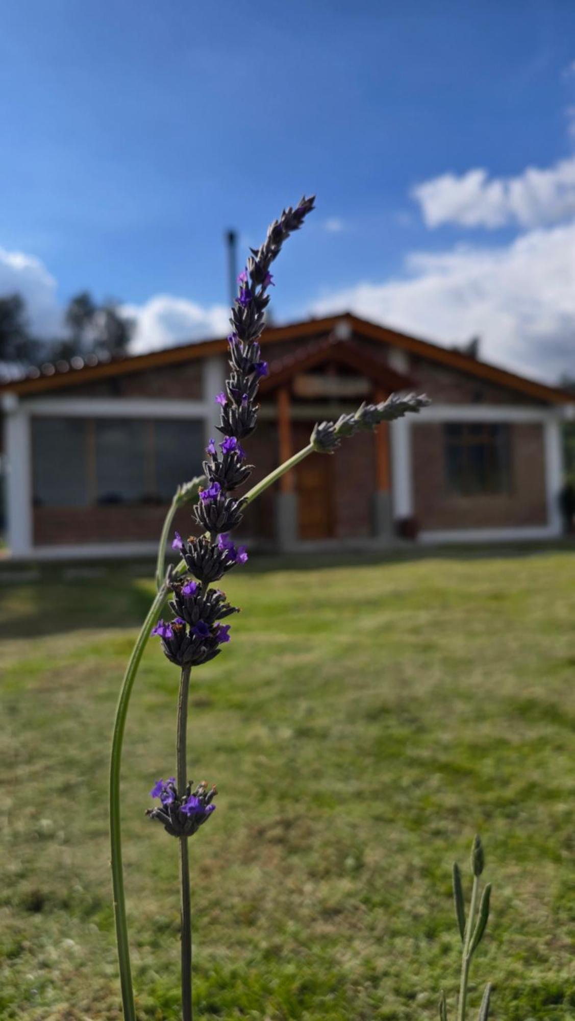 Cuscungo Cotopaxi Hostel&Lodge Chasqui Esterno foto