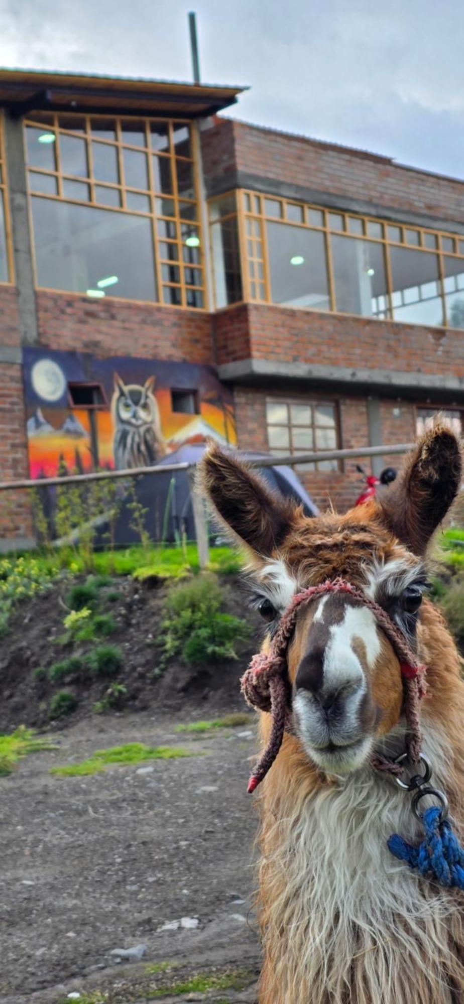 Cuscungo Cotopaxi Hostel&Lodge Chasqui Esterno foto